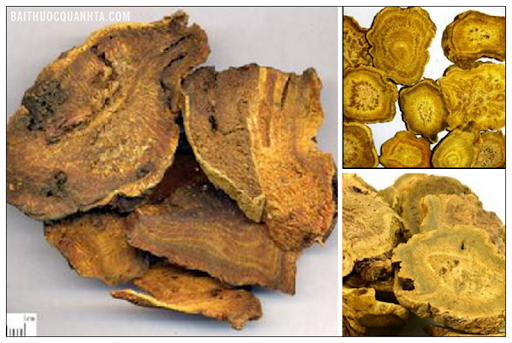 Đại Thừa Khí Thang