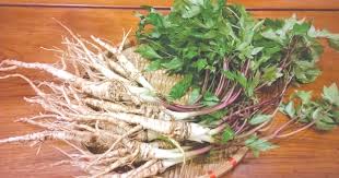 Đương Qui Bổ Huyết Thang