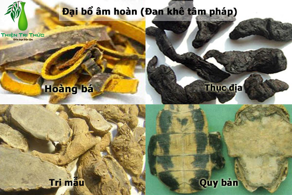 Đại Bồ Âm Hoàn