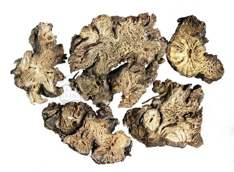 Thăng Ma Cát Căn Thang